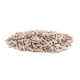 مغز تخمه آفتاب گردان خام درجه یک