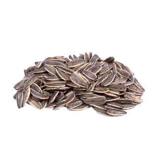 تخمه آفتاب گردادن شور درجه یک