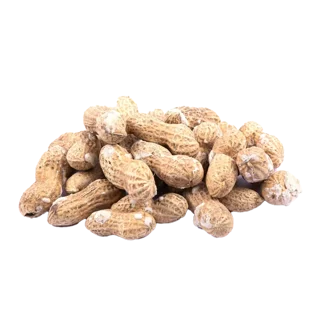 بادام زمینی برشته با پوست
