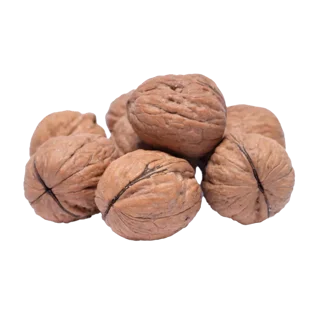گردو ممتاز پوست نازک