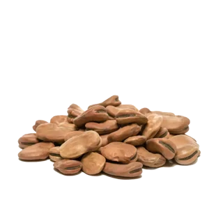 باقالی خشک درجه یک
